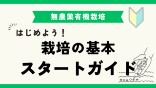 市民農園スタートガイド：無農薬有機栽培のポイントと実践方法